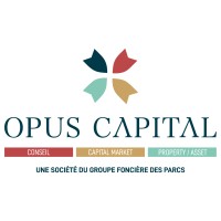 OPUS CAPITAL logo - Similar company to Sg Partners