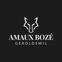 Amaux Bozé logo - Similar company to Yuno Technologies
