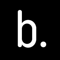 Brandsolo™ logo - Similar company to Link-Busters