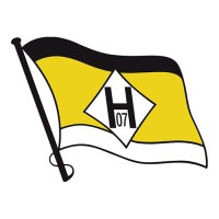 FSV Hansa 07 logo - Similar company to Appear Api