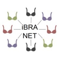 iBRA-NET logo - Similar company to Hypaiq.Com
