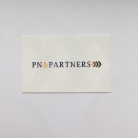 PN & Partners B.V. logo - Similar company to Weact B.V. | Accountants