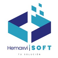 HemaxviSoft logo - Similar company to Digito Ftg