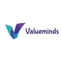 Valueminds Techno Solutions logo - Similar company to E-Sync Security Solutions