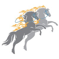 Habenae Consulting logo - Similar company to Eleaders