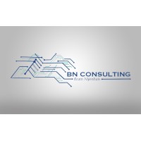 BN Consulting logo - Similar company to Bn Translations