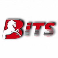 BiTS Managed IT Solutions logo - Similar company to Fuheng Herbs