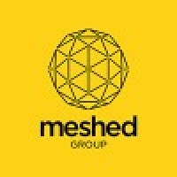 MESHED Group logo - Similar company to Virtunet
