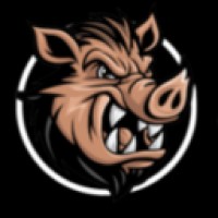 PropHog logo - Similar company to Math Corps