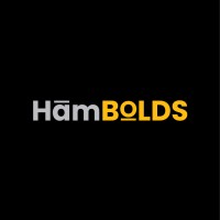 HamBolds Private Limited logo - Similar company to Optimaio