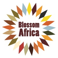 Blossom Africa logo - Similar company to Carfax Projects