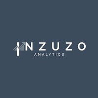 Inzuzo Analytics logo - Similar company to Bareki Consulting