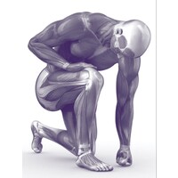 Health Profile logo - Similar company to Wegrip