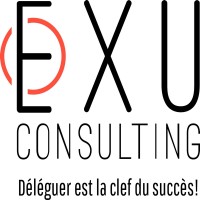 EXU Consulting logo - Similar company to Vi Consulting
