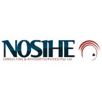 Nosihe Professional Accountants logo - Similar company to Guarantee Trust