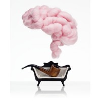 Psykologifabriken logo - Similar company to Life Sciences Updates