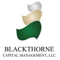 Blackthorne Capital Management Llc