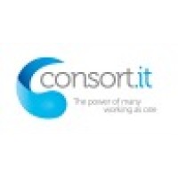 Consort.IT Ltd logo - Similar company to Strident Technology