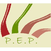 P.E.P. srl logo - Similar company to Inglab
