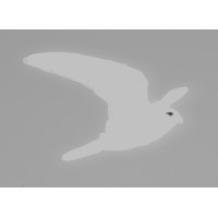 ApS Falkenhøj logo - Similar company to Itagil Aps