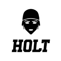 Holt logo - Similar company to Agência Premium