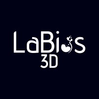 Labios3D