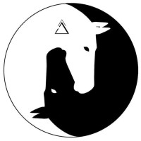 UniQue X logo - Similar company to Unique X