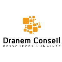 DRANEM Conseil RH logo - Similar company to Frh Conseil - Cabinet Conseil Rh (Près De Lille)