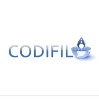 CODIFIL FILTRACION LTDA logo - Similar company to Perfomin
