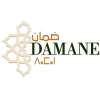DAMANE logo - Similar company to Icmorocco