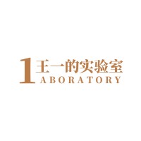 WANGYI Studio logo - Similar company to 江行智能 Jiangxing Intelligence