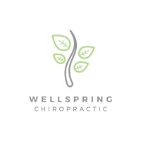Wellspring Chiropractic - Okc