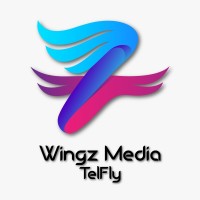 Wingz MT logo - Similar company to Nextsim.Eu