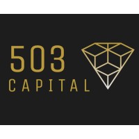 503 Capital logo - Similar company to Reactive Surfaces