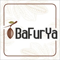 BaFurYa logo - Similar company to Id Creative