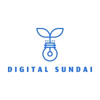 Digital Sundai logo - Similar company to T&T Data Consultancy