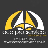 Ace Pro Services logo - Similar company to Adnate It Solutions