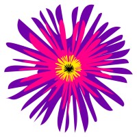 Mareeba Shire Council