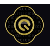 QSSF Intelligence Industrielle - France logo - Similar company to Cdi Flex