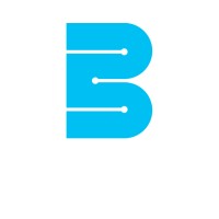 BTSS Corp logo - Similar company to Banyantree Software Solutions