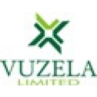 Vuzela Limited logo - Similar company to Impact Training & Management Consulting