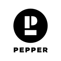 Pepper Consulting logo - Similar company to Adiumento Unternehmensberatungs Ag