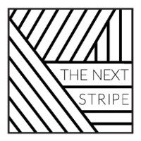 The Next Stripe | People Strategy & Recruitment logo - Similar company to Fly Casting Scotland
