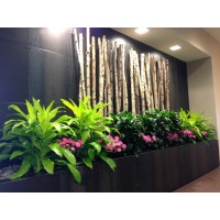 True Moss Interior Plantscapes logo - Similar company to Plantasia