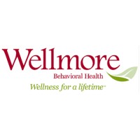 Wellmore Behavioral Health logo - Similar company to Wellmore