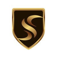 The Solutionist logo - Similar company to Interface Technology Pvt Ltd