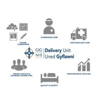 Delivery Unit Of Nhs Wales