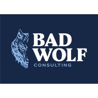Bad Wolf Consulting logo - Similar company to Stonepine Advisors