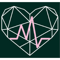 Vertex Surgical Solutions logo - Similar company to Mindful Meetings