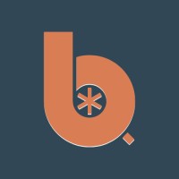 B1 Developers logo - Similar company to B1 Consulting